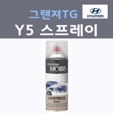 순정품 현대 그랜져TG Y5 스프레이 붓펜 카페인트, 1개, 200ml