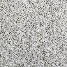 해바라기씨10kg 벌크 해바라기씨10kg벌크, 1박스, 10kg