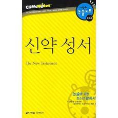 Darakwon 新約聖經 (克里夫筆記), 論述/寫作