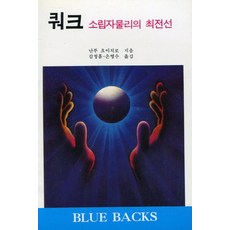 쿼크:소립자물리의 최전선, 전파과학사, 난부 요이치로 저/김정흠 역