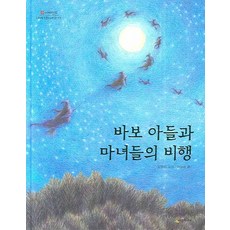 바보 아들과 마녀들의 비행, 시공주니어, 없음