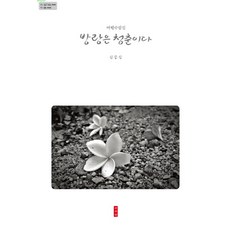 Iseowon 流浪是青春：旅行散文集, 金重燮 著