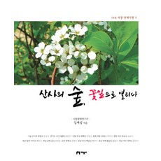 山寺森林 以花瓣綻放, 金在一 著, 知性社