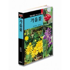 秋花, 教學社, 文順化,玄振五 著