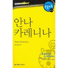 Darakwon 安娜·卡列尼娜 (克利夫筆記), 論述/寫作