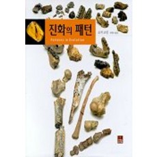 進化的模式, 科學圖書, 羅傑·盧因 著/ 田芳旭 譯