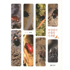 菇居昆蟲的私生活, 知性社, 鄭富喜 著