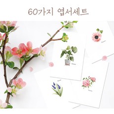 모두카피 꽃무늬엽서 꽃엽서 패턴엽서 식물엽서 수채화엽서 뒷면무지 디자인엽서세트 60장set FW-03, 세트엽서60장 1개