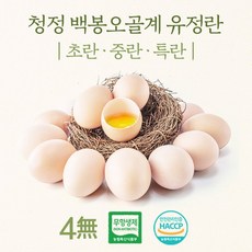 강원도 청정 백봉오골계 유정란 초란 (무항생제 HACCP 인증), 3개