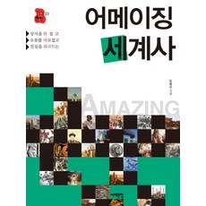 어메이징 세계사:상식을 뒤집고 오류를 바로 잡고 진실을 파고드는, 서해문집, 도현신 저