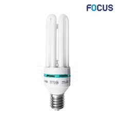 포커스 장미전구 삼파장 전구 55W E26, 주광색, 1개