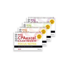 Wiley Cpaexcel Exam Review 2019 Focus Notes: Complete Set Paperback