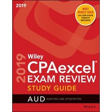 Wiley Cpaexcel Exam Review 2019 Study Guide: Auditing and Attestation Paperback