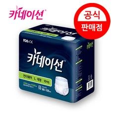 카네이션 남여공용 성인기저귀 언더웨어 L, 대형, 10개입, 8개