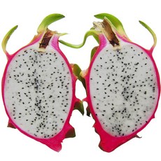 베트남 용과 5kg, 1개, 하얀용과 5kg (8-11과)