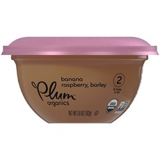 플럼오가닉스 칠드런 볼 어린이 푸딩, 1개, 바나나 + 라즈베리 + 보리 (Banana + Raspberry +Barley ), 102g