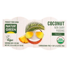네이처그린 파인애플 코코넛 푸딩, 250g, 1개