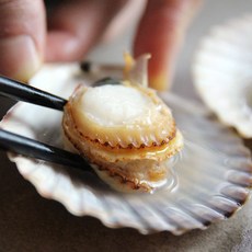 [맛꾼] 국내산 제철 신선하고 알이 큰 통영 홍가리비, 1박스, 2kg