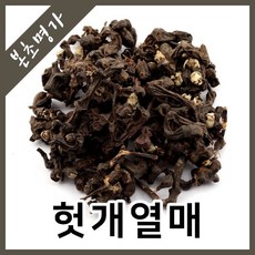 본초명가 헛개열매 헛개나무열매 지구자, 600g, 1개