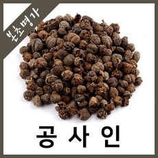 본초명가 공사인 통공사인 축사씨, 300g, 1개