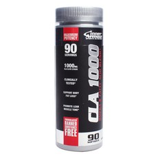 이너아머 CLA 1000 1000mg 소프트젤, 90개입, 1개, 90정