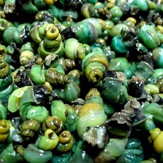 서제천영농조합 동강 청정 깐다슬기 300gx5팩, 5개, 300g