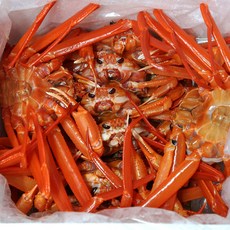 홍게 3kg 5kg 활홍게 자숙홍게 당일조업 산지직송, 1개, 프리미엄  3kg(6~8마리)