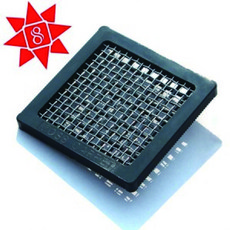 모스 카펫 활착판 소 (5X5cm), 단품