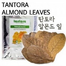 트로피칼 탄토라 알몬드잎 M (10장), 1개