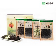 산채나물세트1호 (고사리+취나물+곤드레+호박고지), 단품, 1개