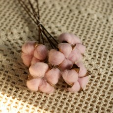 드라이 목화 5송이 10송이 번들, 핑크 5송이번들