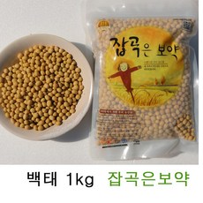 백태 노란콩 메주콩 2kg 1kg국산 강진산 잡곡은보약, 1개, 1kg