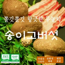 [산지직송]실속형 고급형 특대 여주송이고버섯 무농약송화버섯500g 1kg, 1개, 실속형500g