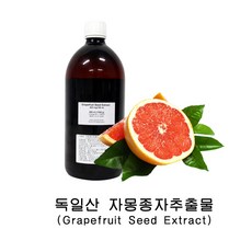 디에스스토리 자몽추출물 식품첨가물 식품용보존제 1KG 독일산, 1개