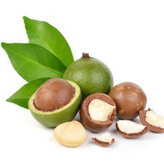 [아로마케이] 케리어오일 베이스오일 비누 만들기재료, C_13 마카다미아넛오일100ml, 1개