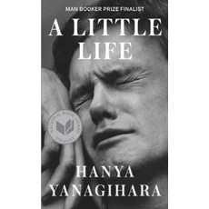 A Little Life： 2015年美國國家圖書獎 曼布克獎決選入圍作品 海外書籍, Anchor Books