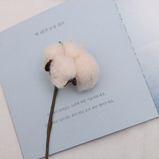 미니아트 인조목화 드라이플라워 카드 엽서 아트카드 만들기, DF130_인조목화화이트(1개)