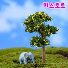 미스토토 테라리움 만들기 재료 나무자몽나무7.2cm, 1개