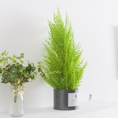 율마 조화 화분 캔 set 38cm 인테리어 식물 테이블 장식 소품 꾸미기, 단품, 1개