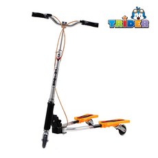 뉴트라이더 T-1000 정품, 1개