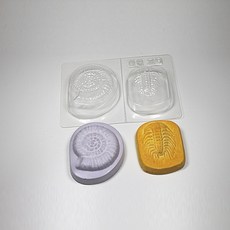 암모나이트 삼엽충 화석만들기(5인) RHY