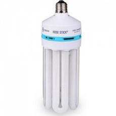 신광 삼파장 75W EL 램프 장미전구 스틱전구 콘벌브 E39, 주광색, 1개