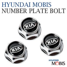 MOBIS 현대모비스 번호판볼트(순정용품)-크롬타입, 현대로고, 1개