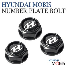 모비스 번호판 볼트, 현대 번호판볼트 (블랙), 1개