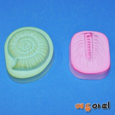 암모나이트 삼엽충 화석만들기 (5인용) - 석고-RAT