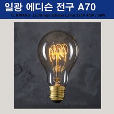 일광전구 에디슨 전구 A70 40W (E26소켓) 클래식 시리즈 LOOP, 1개