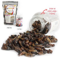 MG내츄럴 국내산 건조 귀뚜라미, 1개, 50g