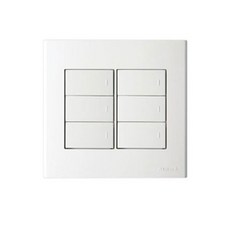 진흥 2개용 캡형 6구 스위치, 1개