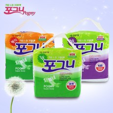 포그니 성인용 팬티 기저귀 대형 벨트형 소변패드 환자 요실금 성인기저귀, 1개, 포그니 성인용 기저귀-대형(10매)