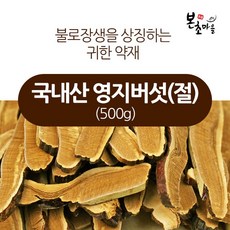 [본초마을] 국내산 영지버섯(절) 500g 고려영지버섯 영지차 영지분말, 1개